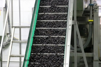 Bursa'nın markasından bir yenilik daha!