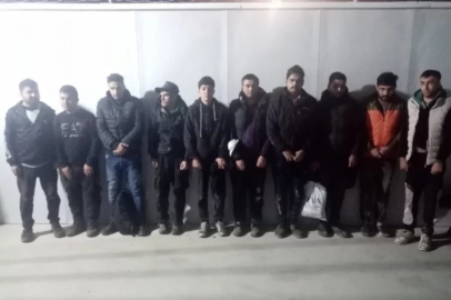 Edirne'de 20 kaçak göçmen sınırda yakalandı