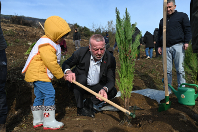 Karacabey’de Yangın Sonrası İlk Fidanlar Toprakla Buluştu