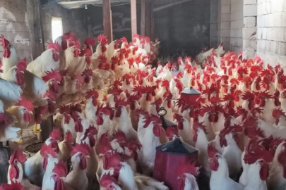 Bursa'dan aldı! Üretim kapasitesi dikkat çekiyor...