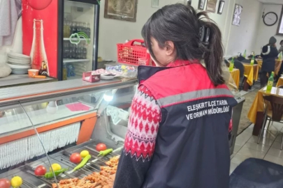 Gıda güvenliği çalışmaları kapsamında 750 işletme kontrolden geçti