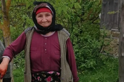 Çanakkale’de kayıp olarak aranan 90 yaşındaki kadın sulama havuzunda ölü bulundu