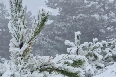 Muğla'ya mevsimin ilk karı yağdı