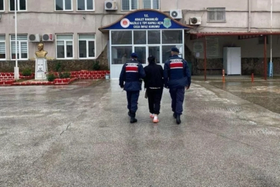 Üç yıl saklandı, kilerde yakalandı