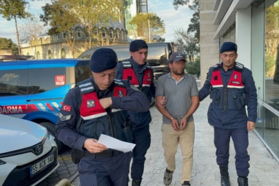 Ağaç kesimi sırasında komşusunun ölümüne sebep olan şahıs tutuklandı