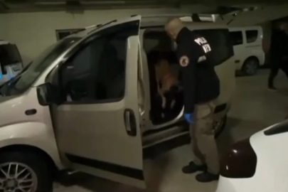 Aracın kapılarına gizlenmiş kokaini 'Pako' buldu