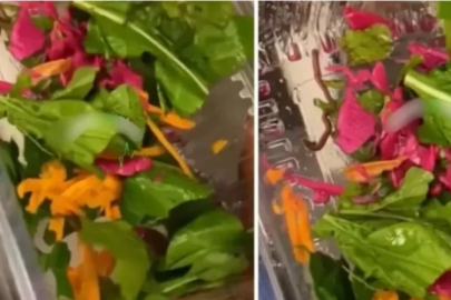 Fark etmeden neler yiyoruz! Pidecideki salata hareket edince...