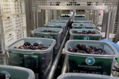 Mehmetçiğin kumanya zeytini Marmarabirlik'ten