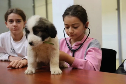 Minik veterinerler görev başında