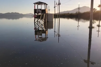 Muğla'da süren yağışlar Köyceğiz Gölü'nü taşırdı: Kordon ve plaj sular altında kaldı