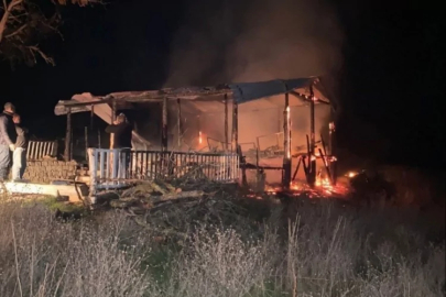 Benzinle mangal yakma girişimi bağ evini küle çevirdi