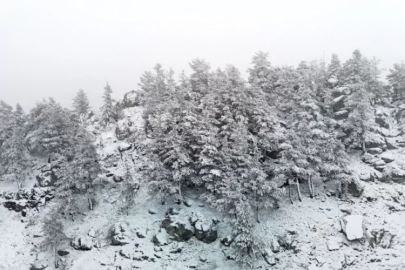 Bolu'nun yükseklerinde kar yağışı etkili oluyor