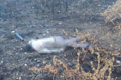 Emniyet güçleri de şaşırdı! Cansız bedeni aracın 30 metre ilerisinde bulundu...