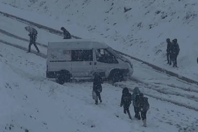 Yüksekova yoğun kara teslim oldu
