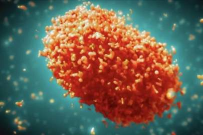 Bilim dünyası uyardı: Yeni türü tespit edildi!