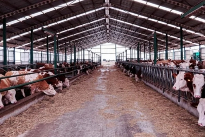 Bursa'da bir ilçe harekete geçti!