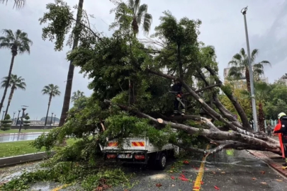 Devrilen ağaç, seyir halindeki 3 araca zarar verdi