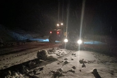 Muş'ta yoğun kar: Yolda mahsur kalan 10 kişi kurtarıldı