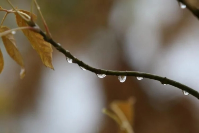 Yağışlar Bursalıların yüzünü güldürdü