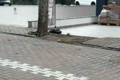 Çöpe atmak için yerden aldığı kargo poşetinin içinden 60 bin dolar çıktı