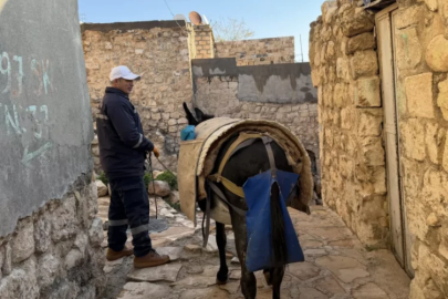 Kadrolu işçi eşekler emekli oluyor! Akıbetleri belli oldu: Artık orada yaşayacaklar