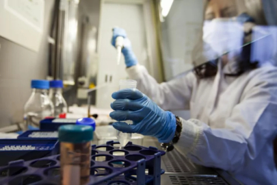 Organ nakli yapılan hasta kuduzdan öldü! Sebebi şok etti...