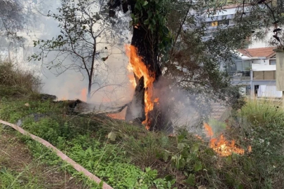 Bursa'da panik anları!
