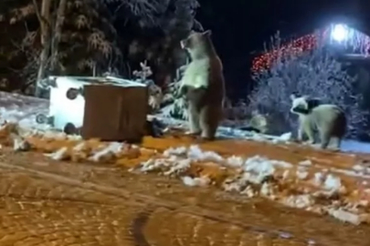 Bursa'da vatandaştan uyarı geldi! 'Rahatsız etmeyin'