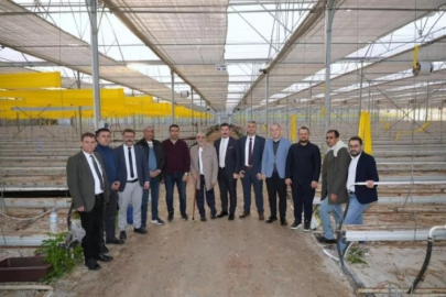 Bursa'da yetişecek Libya'da satılacak!