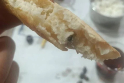 Ekmeğin içinden sinek çıktı