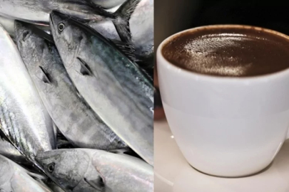 Balık ve kahve tüketimine dikkat! Biri azaltıyor, diğeri artırıyor!