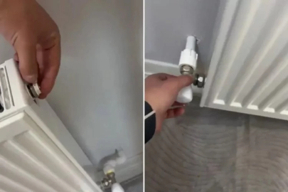 Bu da oldu! Petek tamirine giden usta gerçeği görünce şaştı kaldı...