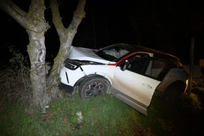 Yoldan çıkan otomobildeki 3 kişi yaralandı