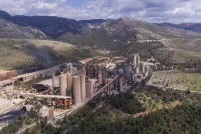 Yunan şirketi, Türk devini satın alıyor!