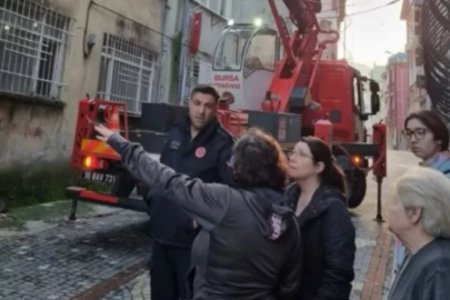 Bursa'da mahsur kalan kedi için seferberlik!