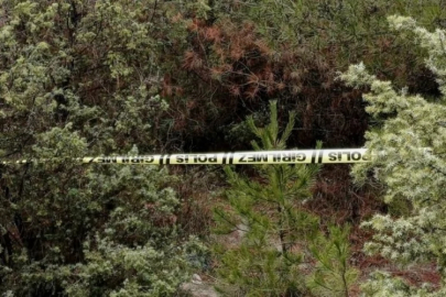 Kendisinden haber alınamayan kişi ormanlık alanda ölü bulundu