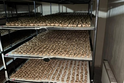 Mesleğinden vazgeçti, üretimine başladı! Gramı 700 liradan satılıyor