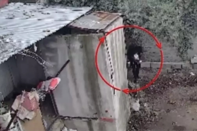 Osmaniye'de kümeslerden tavuk çalan şüpheli tutuklandı; hırsızlık anı kamerada