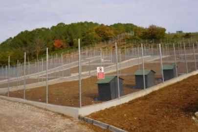 Modern hayvan barınağı çare oldu mu? Orhangazi'de vatandaşların şikayetleri devam ediyor!