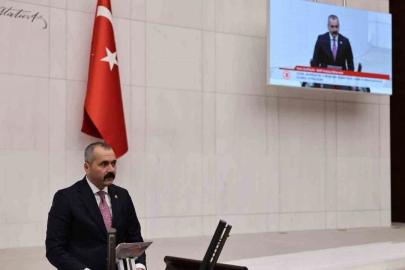 MHP'li Durgun: "Pestisit iddiaları kamuoyunda abartılı şekilde yer buluyor"