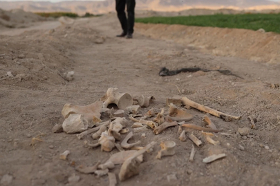 Suriye'de eski bir güvenlik merkezinde toplu mezar bulundu