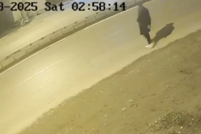 Hatay'da silahla yolda yürüyen şüpheli yakalandı