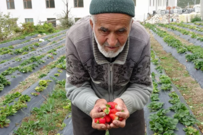 'Hayır Bahçesi' emektarı İbrahim dede hayatını kaybetti! 30 yıl boyunca karşılıksız paylaştı...
