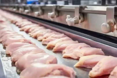 Ne hindi ne de tavuk, en besleyici et bakın ne çıktı...