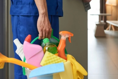 Böcek ailesinin ölümü güven sarstı: Hijyen endişesi rekor seviyede...