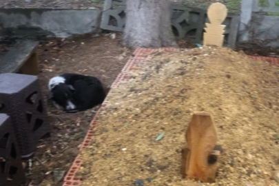 Yürek burkan vefa: Gören dönüp bir daha bakıyor!