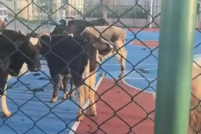 Bursa'da site sakinleri isyan etti!