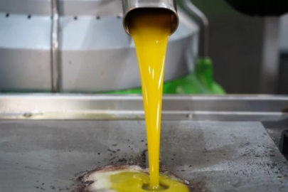 Bursa'da zeytinyağı üretim tesislerinin ruhsat sorunu yeni yönetmelikle netleşti