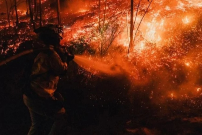 İspanya alevlere teslim: 350 bin hektar yandı!