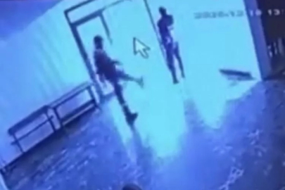 Belediye salonunda skandal görüntü: Kediye tekme kamerada